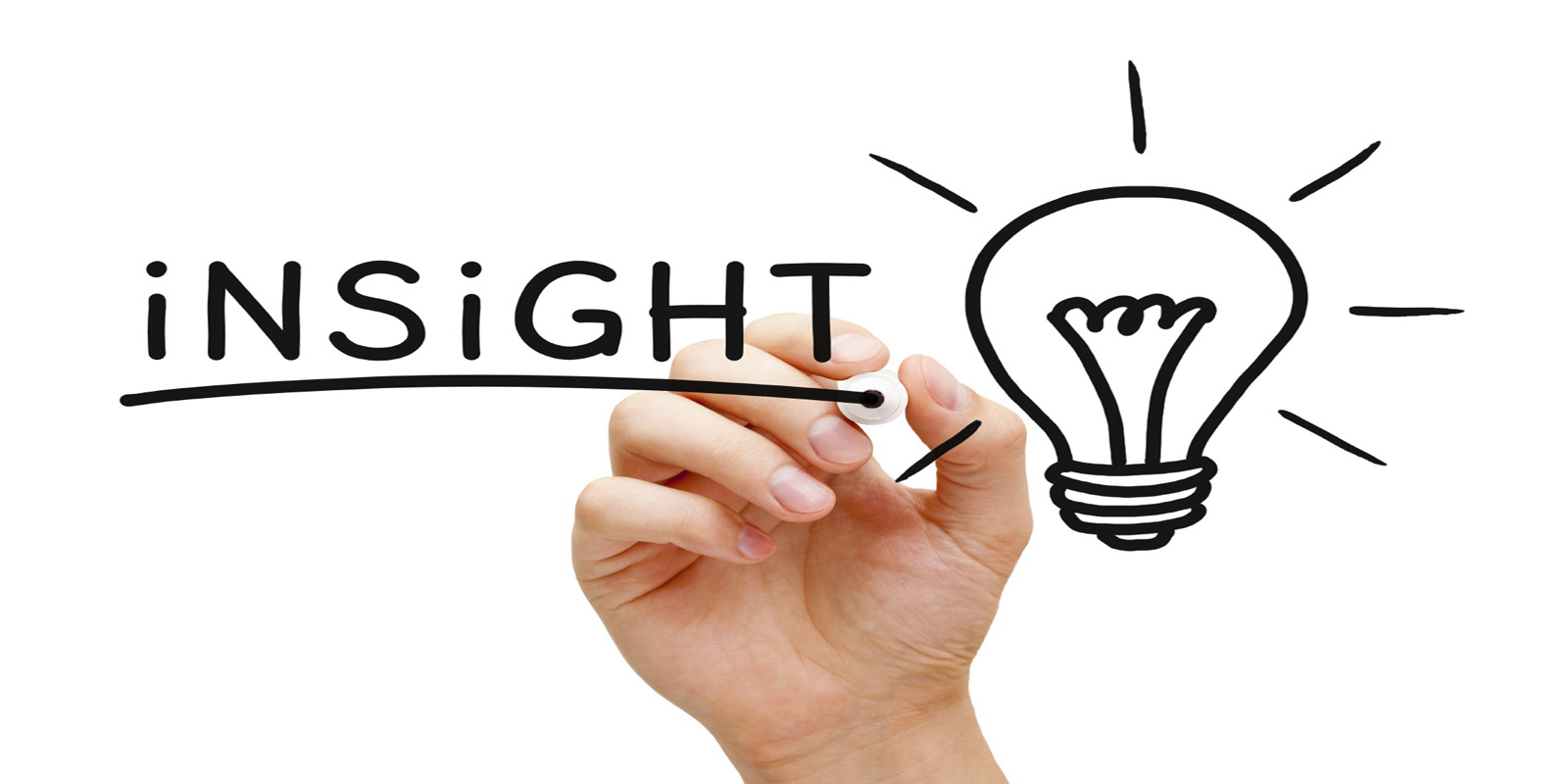 PanMetrics Business Insight Data Collection Banner Improve Business Insight