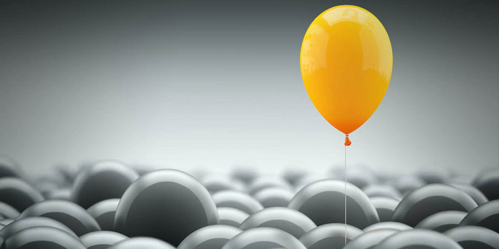 PanMetrics Business Insight Data  Banner Knowledge is King